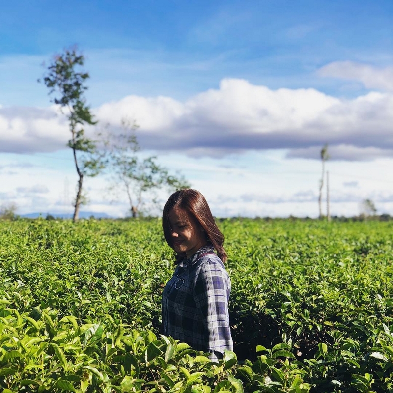 Tháng 8 rủ nhau check-in Biển Hồ chè đẹp lịm tim ở Gia Lai 18 wanderlust tips thang 8 ru nhau check in bien ho che gia lai dep lim tim 13