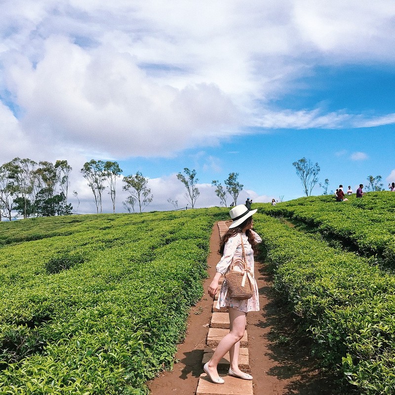 Tạp chí Du lịch Wanderlust Tips | Tháng 8 rủ nhau check-in Biển hồ chè, Gia Lai đẹp lịm tim