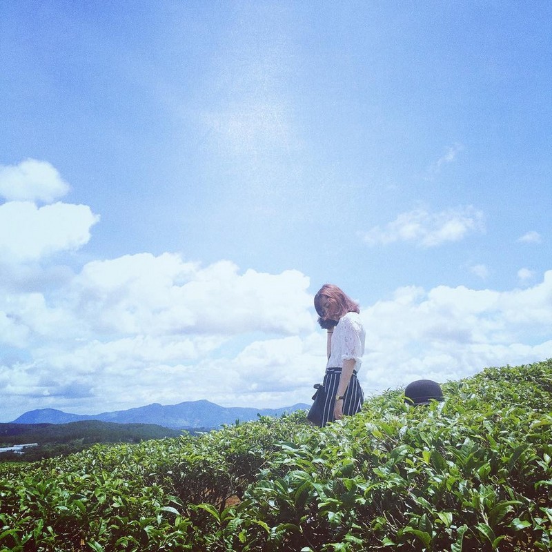 Tháng 8 rủ nhau check-in Biển Hồ chè đẹp lịm tim ở Gia Lai 12 Tạp chí Du lịch Wanderlust Tips | Tháng 8 rủ nhau check-in Biển hồ chè, Gia Lai đẹp lịm tim