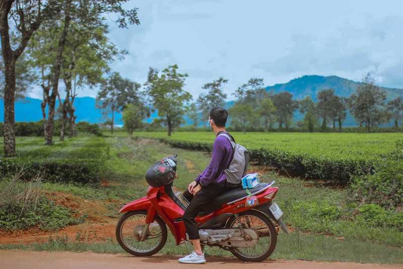 Tháng 8 rủ nhau check-in Biển Hồ chè đẹp lịm tim ở Gia Lai 10 Tạp chí Du lịch Wanderlust Tips | Tháng 8 rủ nhau check-in Biển hồ chè, Gia Lai đẹp lịm tim