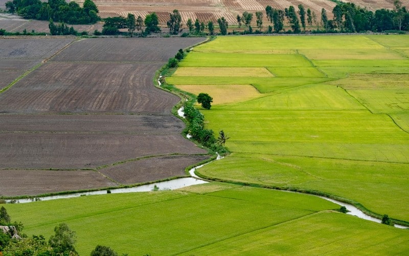 Tháng 9 nhớ dừng chân ở núi Sam, An Giang 8 wanderlust tips thang 9 sang nho ve nui sam an giang cung nguoi thuong 4