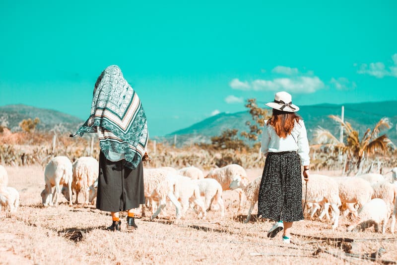 Theo dấu chân du mục ở đồng cừu An Hòa, Ninh Thuận 6 wanderlust tips theo dau chan du muc o dong cuu an hoa ninh thuan 2