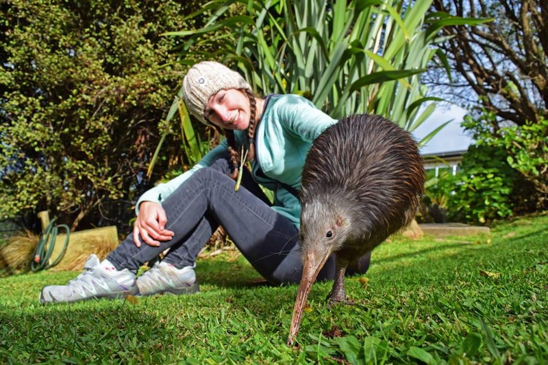 Những nét văn hóa ở New Zealand có thể bạn chưa biết 6 Tạp chí Du lịch Wanderlust Tips Những nét văn hóa ở New Zealand có thể bạn chưa biết