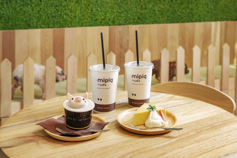 Tạp chí Du lịch Wanderlust Tips | Chết mê với quán cà phê heo tí hon tại Tokyo