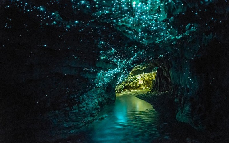 Diệu kỳ xứ sở thần tiên tại hang đom đóm Waitomo Glowworm Diệu kỳ xứ sở thần tiên tại hang đom đóm Waitomo Glowworm