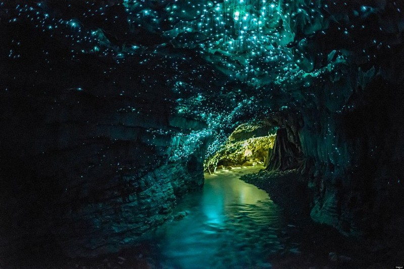Tạp chí Du lịch Wanderlust Tips | Diệu kỳ xứ sở thần tiên tại hang Waitomo Glowworm