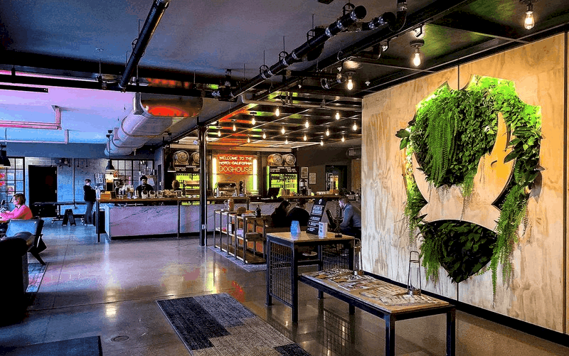 DogHouse Hotel and Brewery: Nơi dừng chân của những tín đồ bia 5 wanderlust tips doghouse hotel and brewery noi dung chan cua nhung tin do bia
