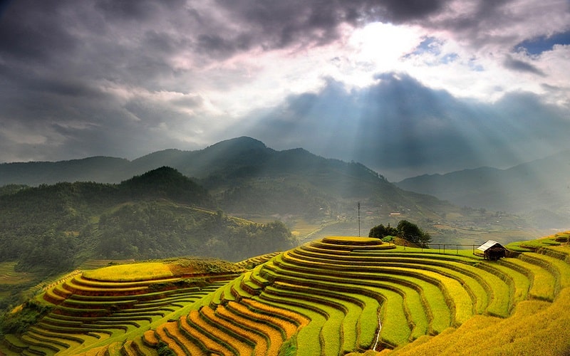 Tạp chí Du lịch Wanderlust Tips | Giấc mơ tuổi thanh xuân hóa mây trời Mù Cang Chải