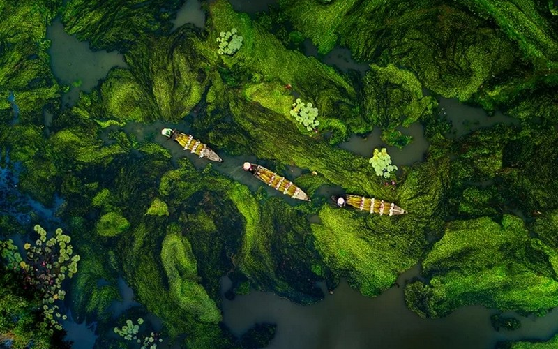 Ngắm nhìn những bức ảnh đẹp trong cuộc thi “Việt Nam nhìn từ trên cao”