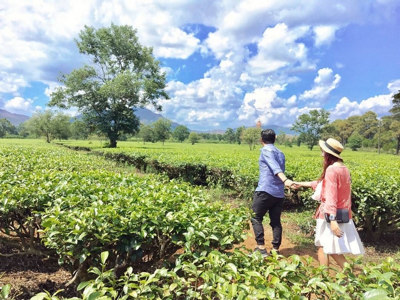 wanderlust tips thang 8 ru nhau check in bien ho che gia lai dep lim tim 4