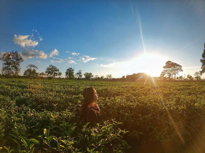 wanderlust tips thang 8 ru nhau check in bien ho che gia lai dep lim tim 5