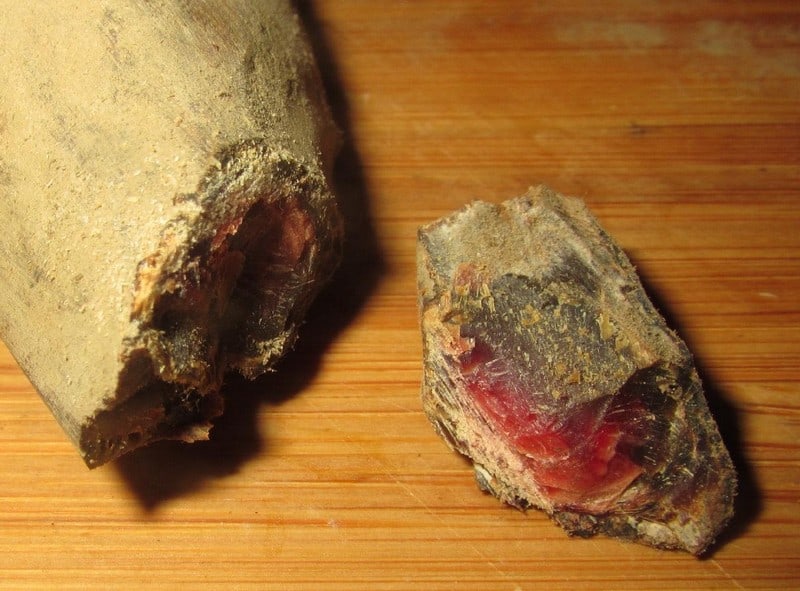 Tạp chí Du lịch Wanderlust Tips Cá ngừ khô Katsuobushi: Hương vị Nhật Bản đích thực