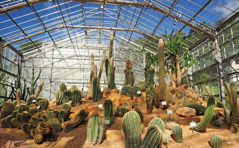 Tạp chí Du lịch Wanderlust Tips Tất tần tật kinh nghiệm du lịch Chiang Mai từ A-Z