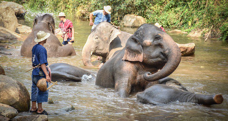 Tạp chí Du lịch Wanderlust Tips Tất tần tật kinh nghiệm du lịch Chiang Mai từ A-Z