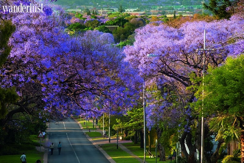 Tạp chí Du lịch Wanderlust Tips Du lịch Nam Phi và những "cái nhất"