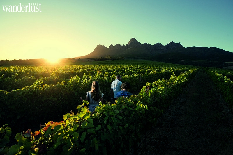 Tạp chí Du lịch Wanderlust Tips Du lịch Nam Phi và những "cái nhất"