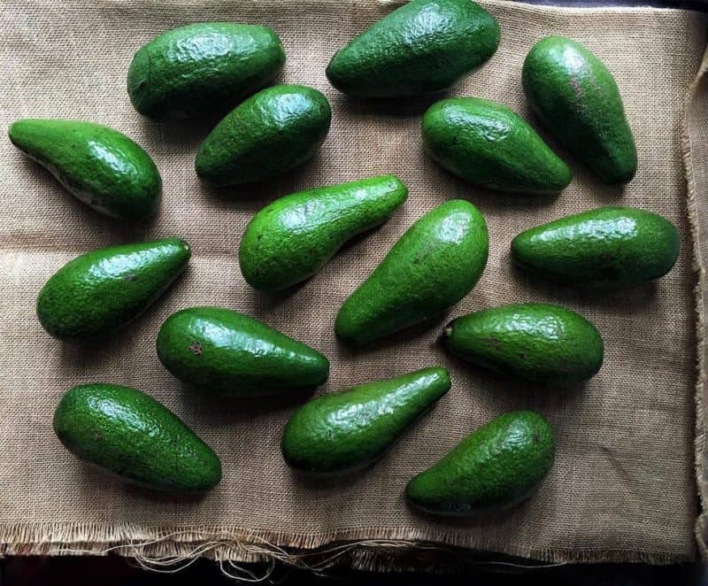 Gói nỗi nhớ Đà Lạt trong những loại củ quả tràn yêu thương 6 Tạp chí Du lịch Wanderlust Tips Gói nỗi nhớ Đà Lạt trong những loại củ quả tràn yêu thương