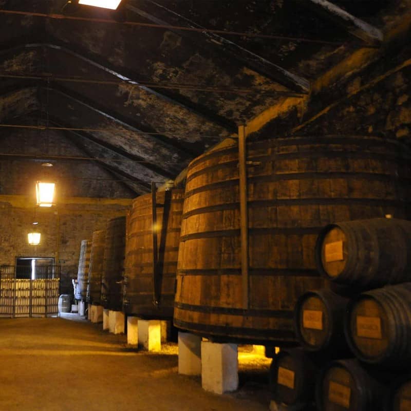 Wanderlust Tips ngu trong ruou vang khong lo bdn 04