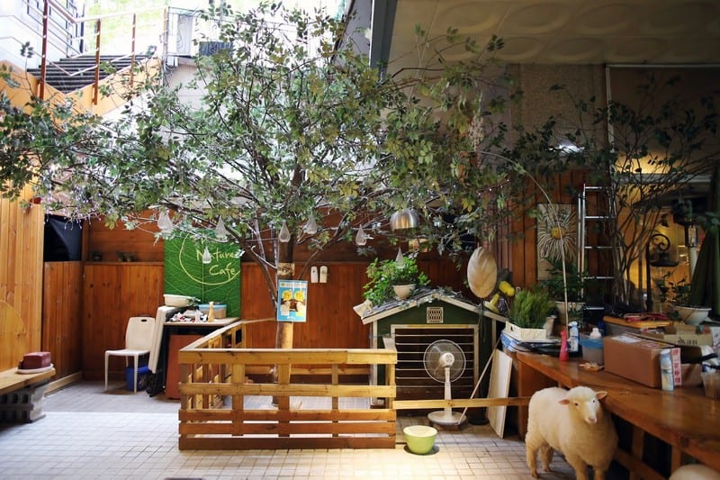 Check-in sống ảo tại những quán cà phê xinh đẹp ở Seoul, Hàn Quốc 9 Wanderlust Tips song ao voi cac quan ca phe song ao seoul 04