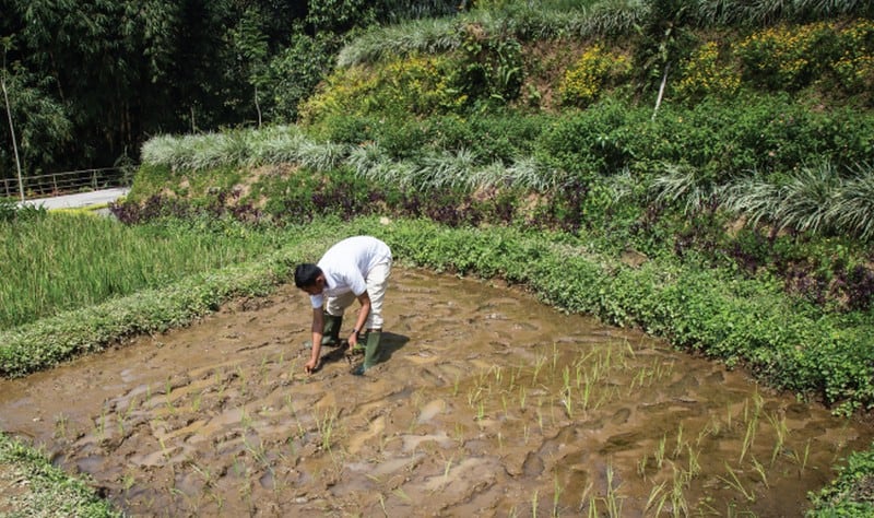 Wanderlust Tips song trong van hoa bali tai Padma Resort Ubud 03