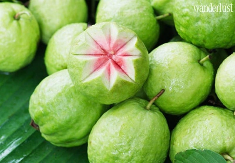 Say lòng những thức quả chín khi Hà Nội vào thu 6 Wanderlust Tips thuc qua mua thu ha noi 02