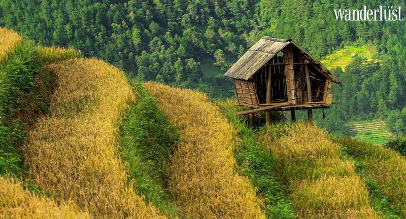 Wanderlust tips nguoc len reo cao ngam mua thu nhuom vang lung troi 2