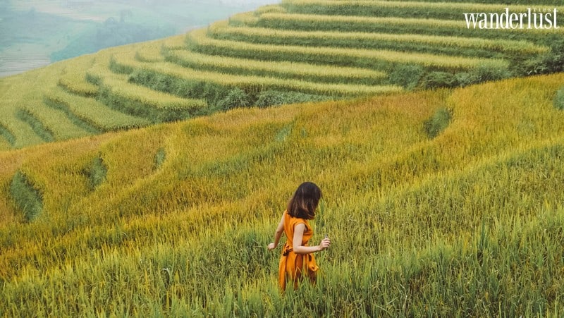 Wanderlust tips nguoc len reo cao ngam mua thu nhuom vang lung troi 3