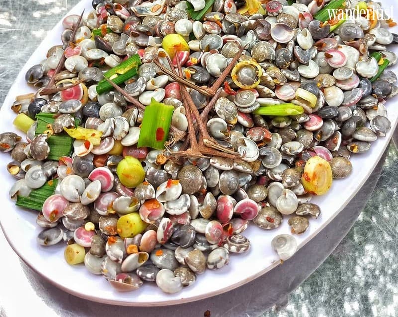 Ốc ruốc: Đặc sản miền Trung quyến rũ bước chân du khách 6 Wanderlust tips oc ruoc dac san mien trung hap dan du khach 6