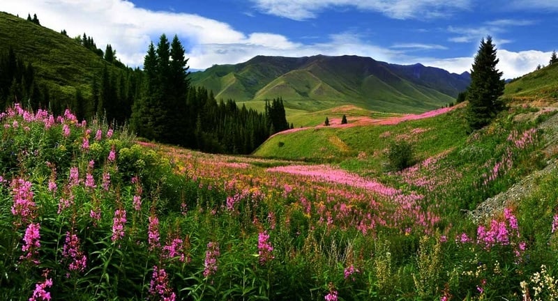 Chiêm ngưỡng cảnh sắc đẹp tuyệt diệu ở thảo nguyên Tân Cương 7 Tạp chí Du lịch Wanderlust Tips | Chiêm ngưỡng cảnh sắc đẹp tuyệt diệu ở thảo nguyên Tân Cương