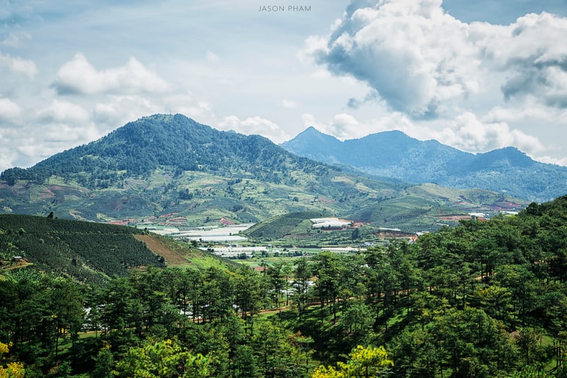 wanderlust tips da lat thang 9 dep tua nang thieu nu ngu chim trong bien may 2