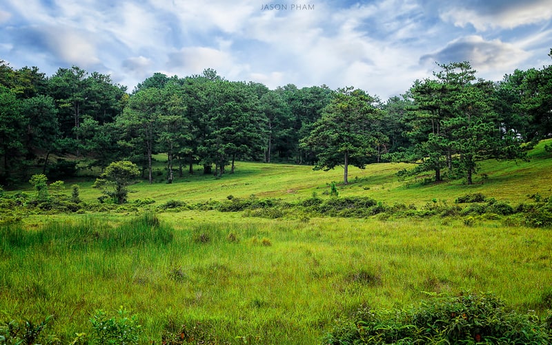 Tạp chí Du lịch Wanderlust Tips | Gửi lại chút Tình cho Đà Lạt tháng 9