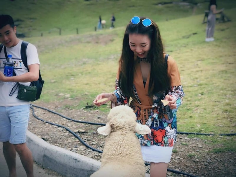 wanderlust tips dai loan trong chuyen di cua co gai sai thanh 9