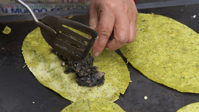 wanderlust tips diem danh huitlacoche mon ngo moc den noi danh o mexico 2