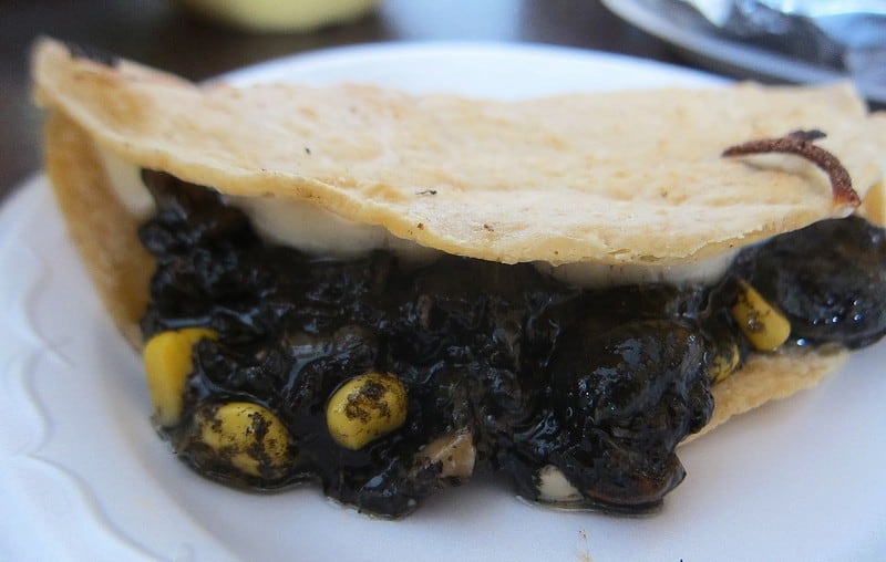 wanderlust tips diem danh huitlacoche mon ngo moc den noi danh o mexico 4