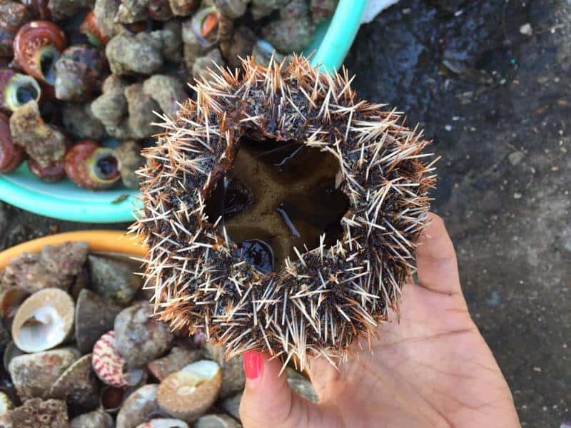 Điểm danh những món "ăn tươi nuốt sống" trong ẩm thực Việt Nam 9 wanderlust tips diem danh nhung mon an tuoi nuot song trong am thuc viet nam 7