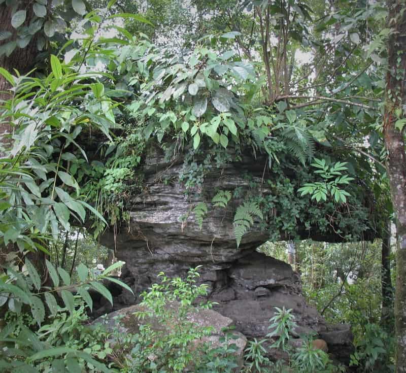 Tạp chí Du lịch Wanderlust Tips | Du lịch Sìn Hồ: Chìm đắm trong mây bồng bềnh miền núi Lai Châu