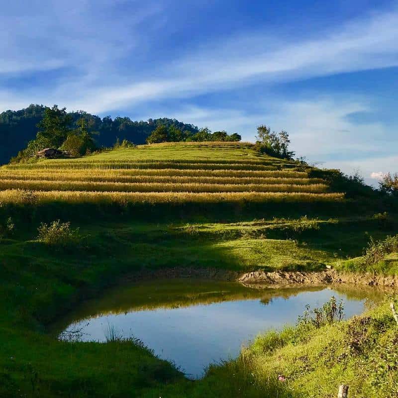 wanderlust tips du lich sin ho chim dam trong may benh bong mien nui lai chau 7