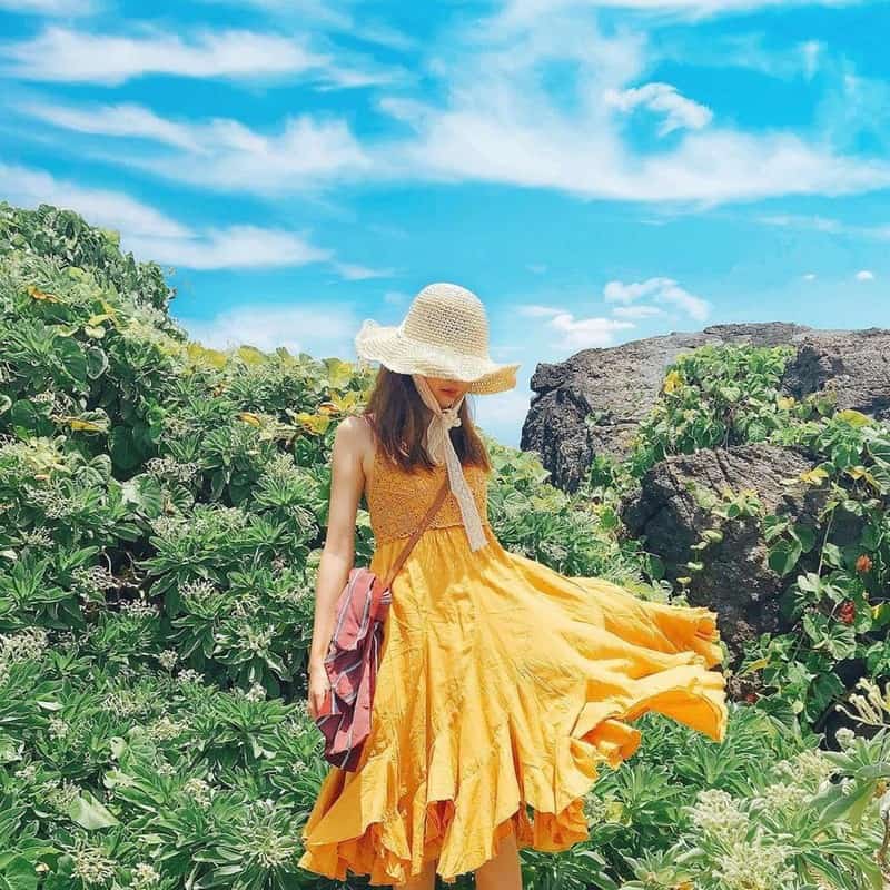 wanderlust tips ghe chan den dam trau xanh ngat niu lai binh yen 1