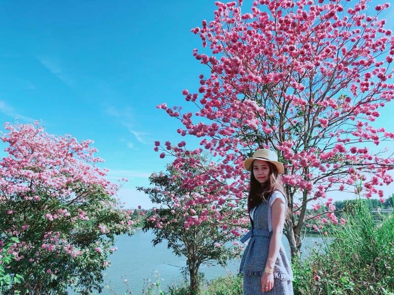 Hồ Nam Phương thơ mộng níu bước chân du khách 6 wanderlust tips ho nam phuong tho mong niu chan du khach 3