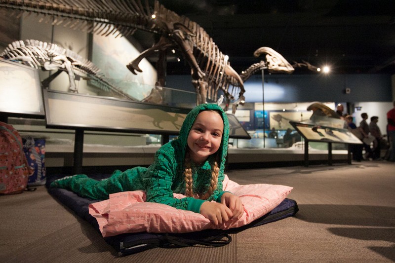 Tạp chí Du lịch Wanderlust Tips Đến Mỹ trải nghiệm ngủ qua đêm cùng “thế giới động vật”