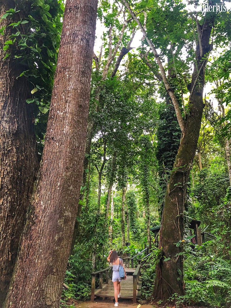 Du lịch Lào: Hành trình đầy cảm xúc của cô gái 9X 7 Wanderlu tips 9x bac ninh va an tuong chuyen du lich lao 14