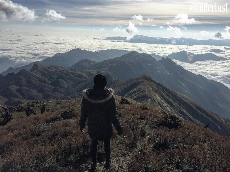 Tạp chí Du lịch Wanderlust Tips | Tà Chì Nhù: Thiên đường mây bồng bềnh giữa đại ngàn