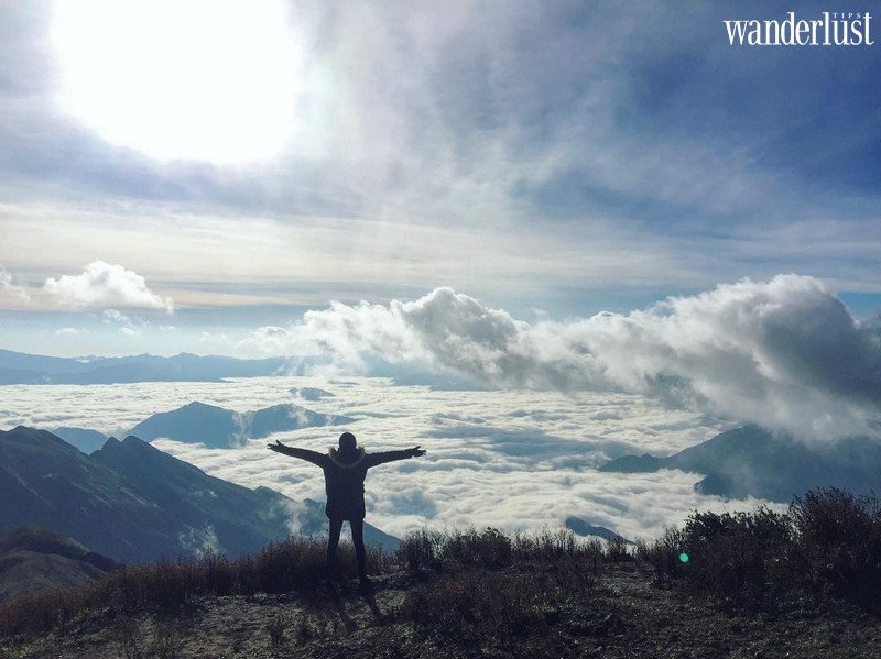 Tạp chí Du lịch Wanderlust Tips | Tà Chì Nhù: Thiên đường mây bồng bềnh giữa đại ngàn