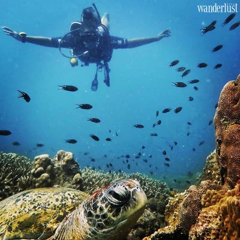 Bỏ túi kinh nghiệm hữu ích cho chuyến du lịch đảo Redang, Malaysia 16 Tạp chí Du lịch Wanderlust Tips Bỏ túi những kinh nghiệm hữu ích cho chuyến du lịch đảo Redang, Malaysia