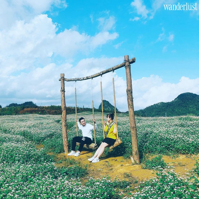 Đi dọc Bắc Nam, lạc lối trên những cung đường hoa tuyệt đẹp của mùa thu 6 Wanderlust Tips cung duong hoa mua thu 01 1