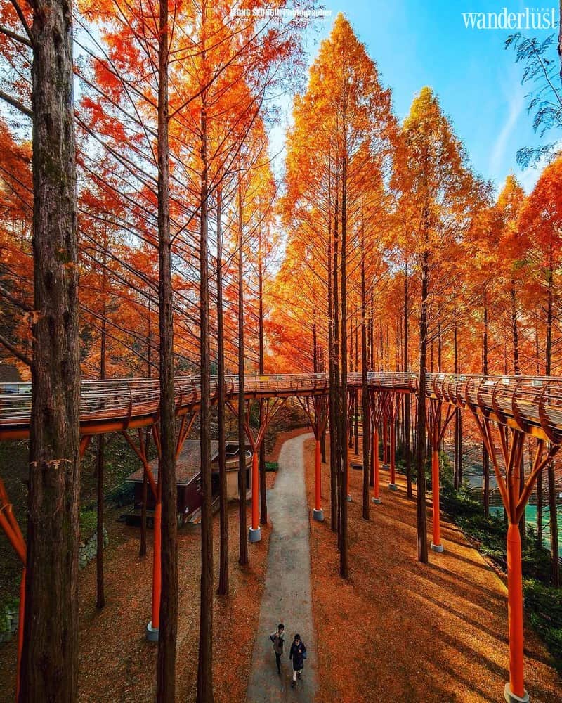 Hàn Quốc miễn lệ phí visa C-3 tạm thời cho các quốc gia ASEAN 5 Tạp chí Du lịch Wanderlust Tips Hàn Quốc miễn lệ phí visa C-3 tạm thời cho các quốc gia ASEAN