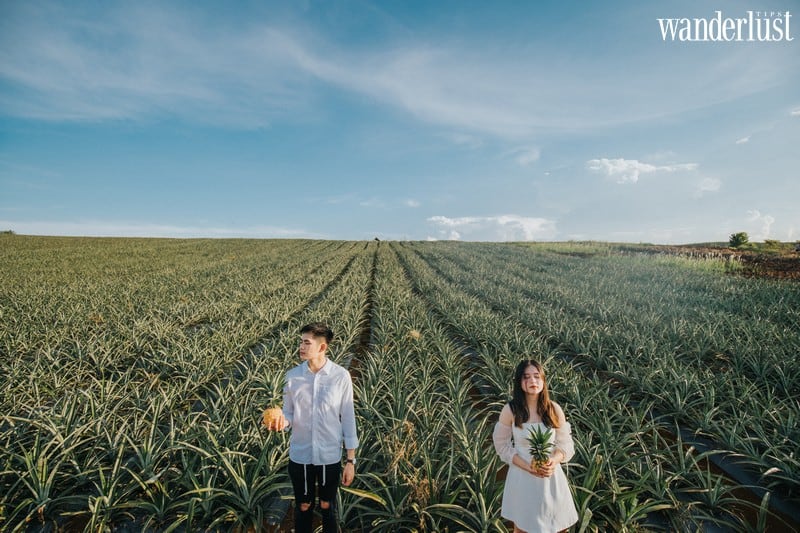 Những thước hình trong veo của nhóm bạn 9X nơi đồi dứa Đồng Giao 11 Wanderlust tips check in doi dua dong giao diem song ao hut like o ninh binh 12