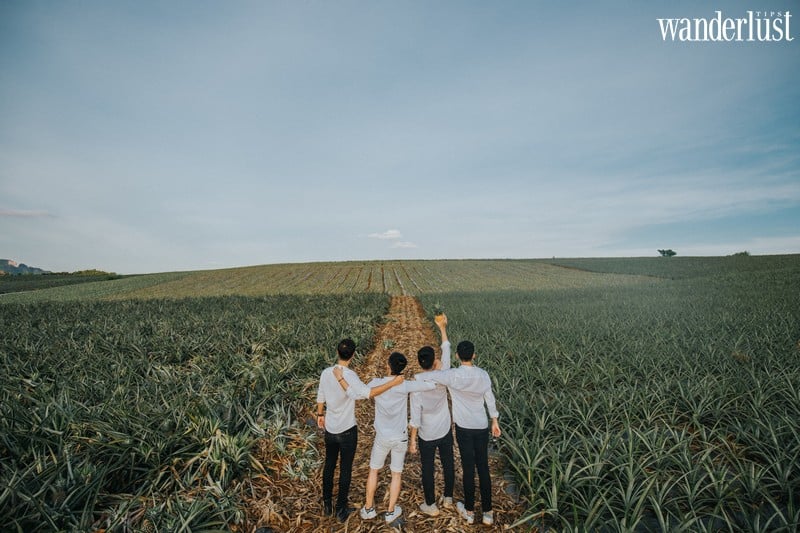 Những thước hình trong veo của nhóm bạn 9X nơi đồi dứa Đồng Giao 7 Tạp chí Du lịch Wanderlust Tips | Những thước hình trong veo của nhóm bạn 9X nơi đồi dứa Đồng Giao