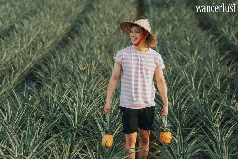 Những thước hình trong veo của nhóm bạn 9X nơi đồi dứa Đồng Giao 8 Tạp chí Du lịch Wanderlust Tips | Những thước hình trong veo của nhóm bạn 9X nơi đồi dứa Đồng Giao