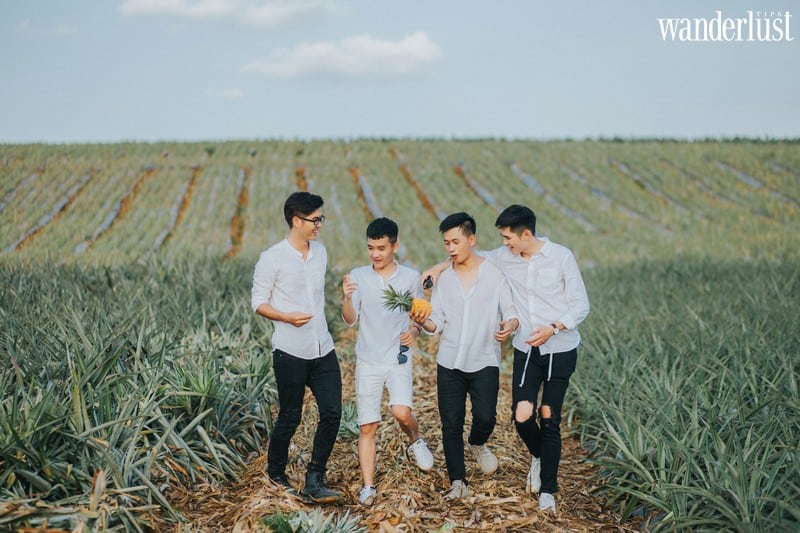 Những thước hình trong veo của nhóm bạn 9X nơi đồi dứa Đồng Giao 5 Tạp chí Du lịch Wanderlust Tips | Những thước hình trong veo của nhóm bạn 9X nơi đồi dứa Đồng Giao